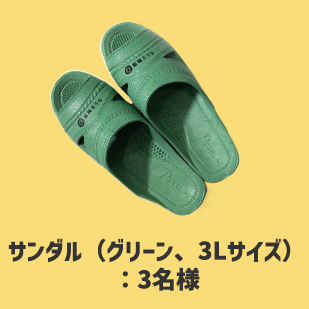 サンダル（グリーン、3Lサイズ）
